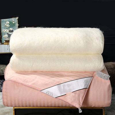 Household Cotton Thickened Silk Air Conditioner Quilt Shopmisty